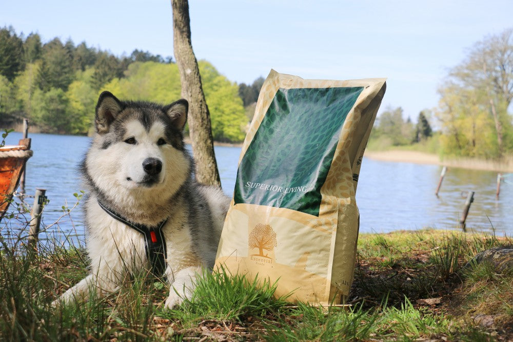 Essential - 完美品質生活 ( 小粒 ) 2.5 KG - 適合任何成犬及挑食的狗狗