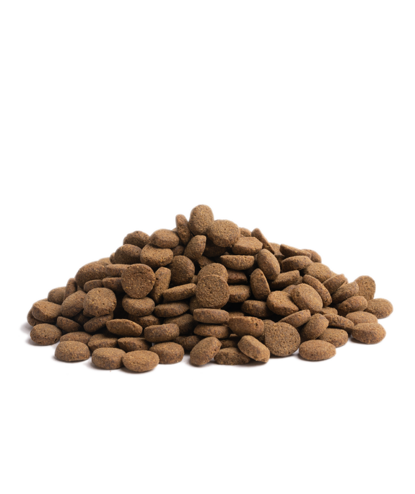 Essential - 線條美 ( 大粒 ) 10KG - 專為絕育/超重需瘦身的成犬而設