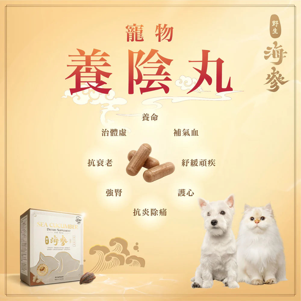 Petrum 寵樂氏 - 加拿大野生海參丸 ( 30粒 )