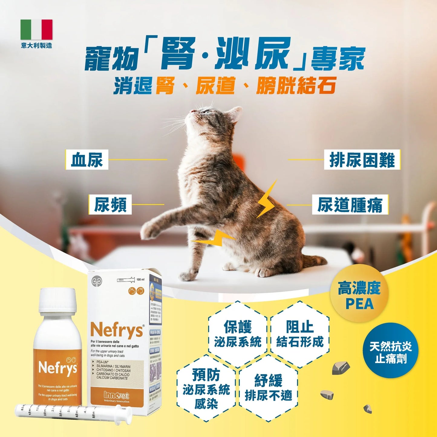 Nefrys 腎存 - 泌尿強腎配方 100ml