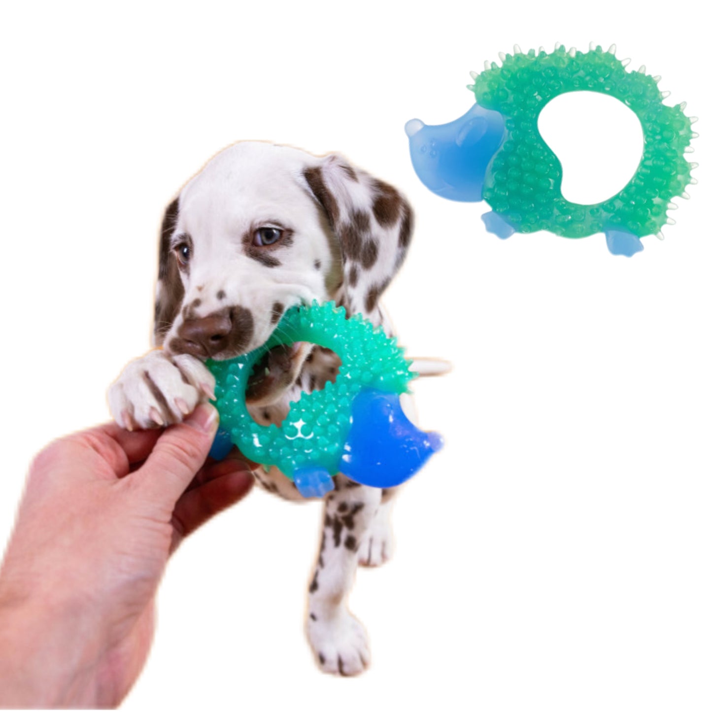Petstages - 奧卡潔齒刺猬