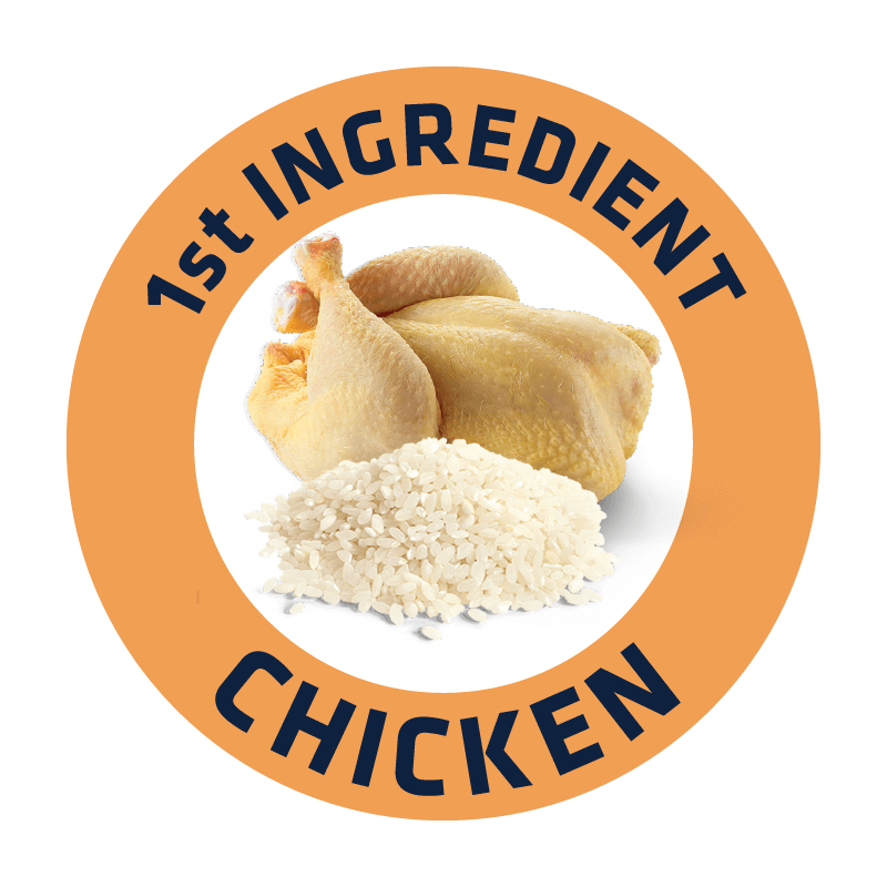 ADVANCE - 日常護理中型老犬糧 3KG(適合體重10-30kg/年齡7歲以上)