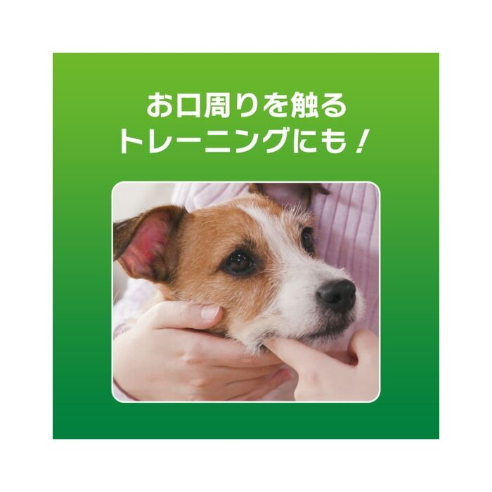 日本獅王 LION PET - PETKISS 寵物牙膏 ( 蘋果味 40g )