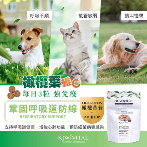 Kiwivital 紐西蘭草療營養專家 - OliveBoost 橄欖葉維C軟粒60粒(180g)