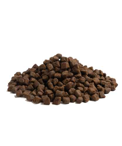 Essential - 起步 小型犬 ( 小粒 ) 2.5 KG - 適合任何小型幼犬