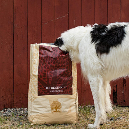 Essential - 起步 大型犬 ( 大粒 ) 10KG - 適合任何大型幼犬