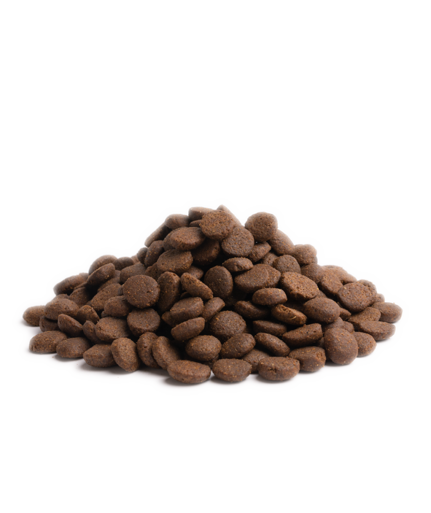 Essential - 完美品質生活 ( 大粒 ) 10KG - 適合任何成犬及挑食的狗狗