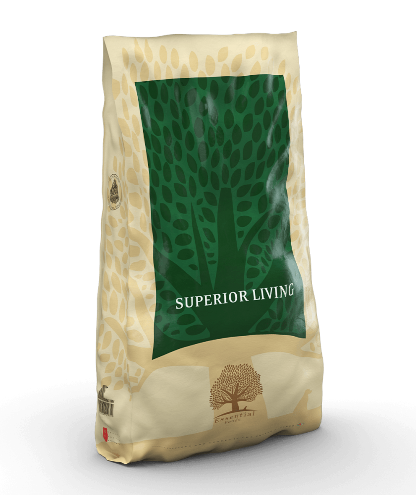 Essential - 完美品質生活 ( 大粒 ) 10KG - 適合任何成犬及挑食的狗狗