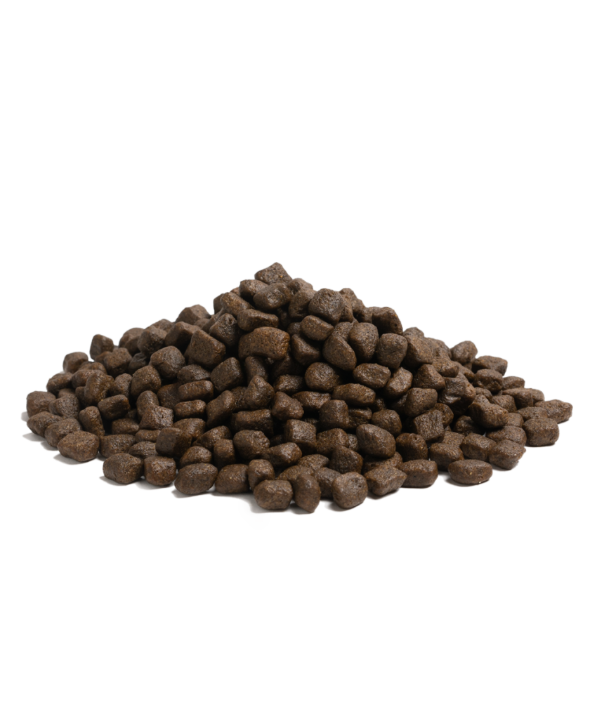 Essential - 完美海洋生活 ( 小粒 ) 2.5 KG - 改善啞毛及皮膚痕癢狗狗首選