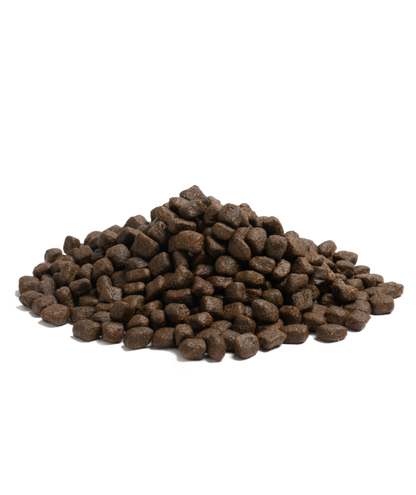 Essential - 完美海洋生活 ( 小粒 ) 2.5 KG - 改善啞毛及皮膚痕癢狗狗首選