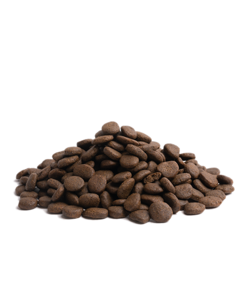 Essential - 完美海洋生活 ( 大粒 ) 10KG - 改善啞毛及皮膚痕癢狗狗首選