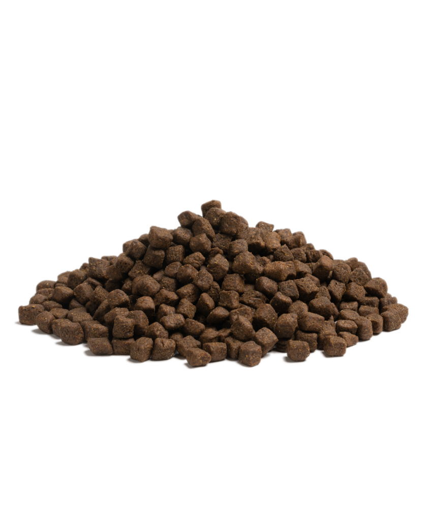 Essential - 完美狀態生活 ( 小粒 ) 2.5KG - 適合任何成犬及有過敏問題的狗狗首選