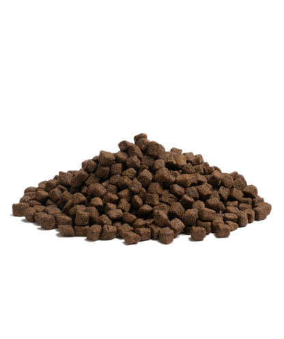 Essential - 完美狀態生活 ( 小粒 ) 2.5KG - 適合任何成犬及有過敏問題的狗狗首選