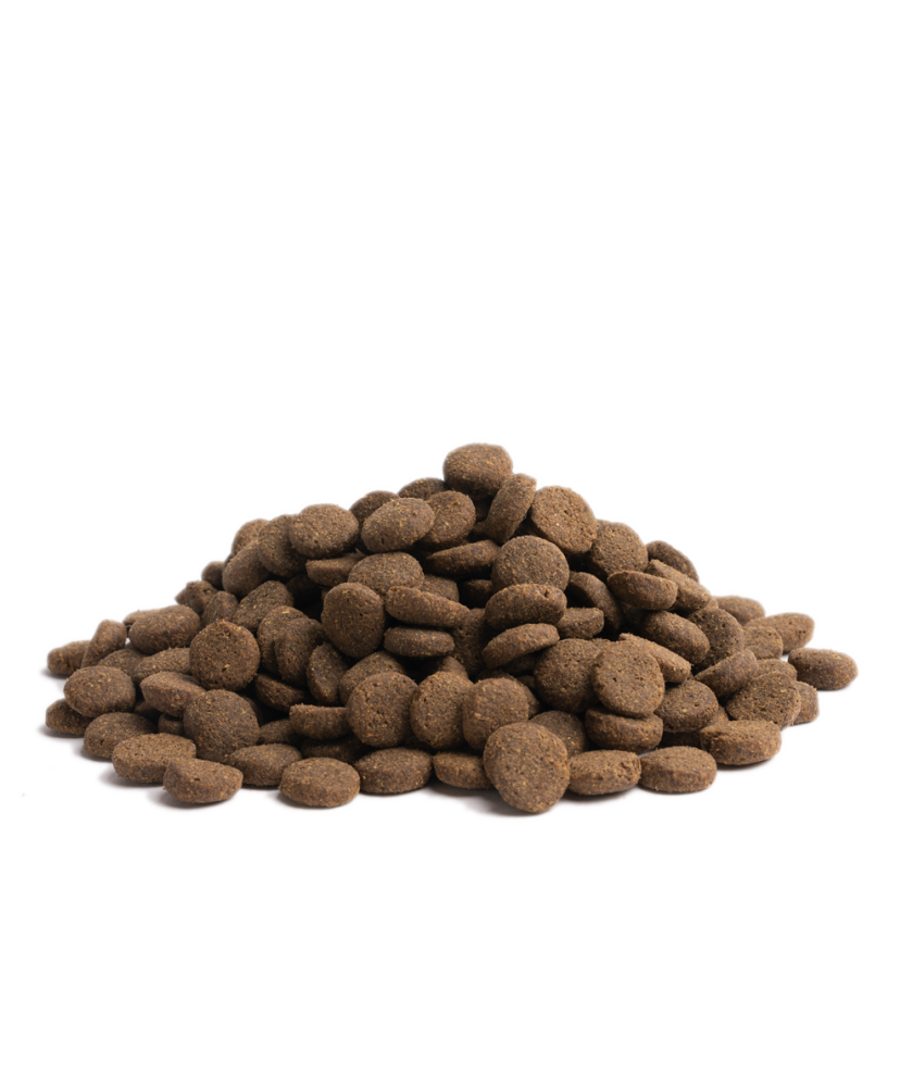 Essential - 完美狀態生活 ( 大粒 ) 10KG - 適合任何成犬及有過敏問題的狗狗首選