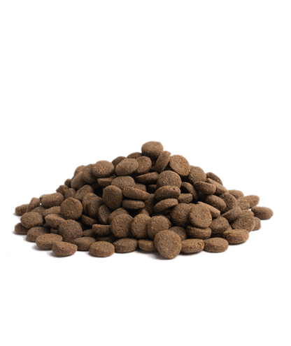 Essential - 完美狀態生活 ( 大粒 ) 10KG - 適合任何成犬及有過敏問題的狗狗首選