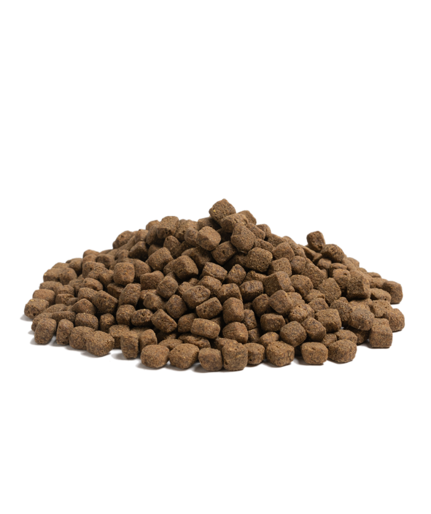 Essential - 線條美 ( 小粒 ) 2.5KG - 專為絕育/超重需瘦身的成犬而設