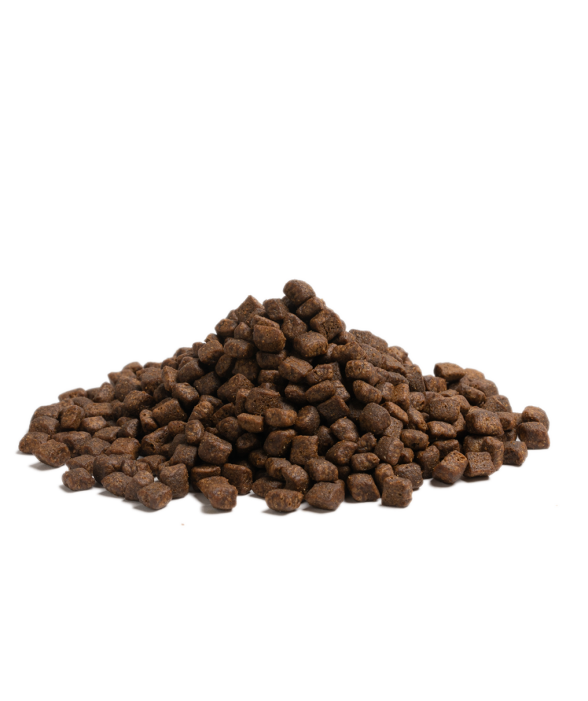 Essential - 完美高原生活 ( 小粒 ) 2.5 KG - 特別為對雞肉或土豆過敏的成犬而設