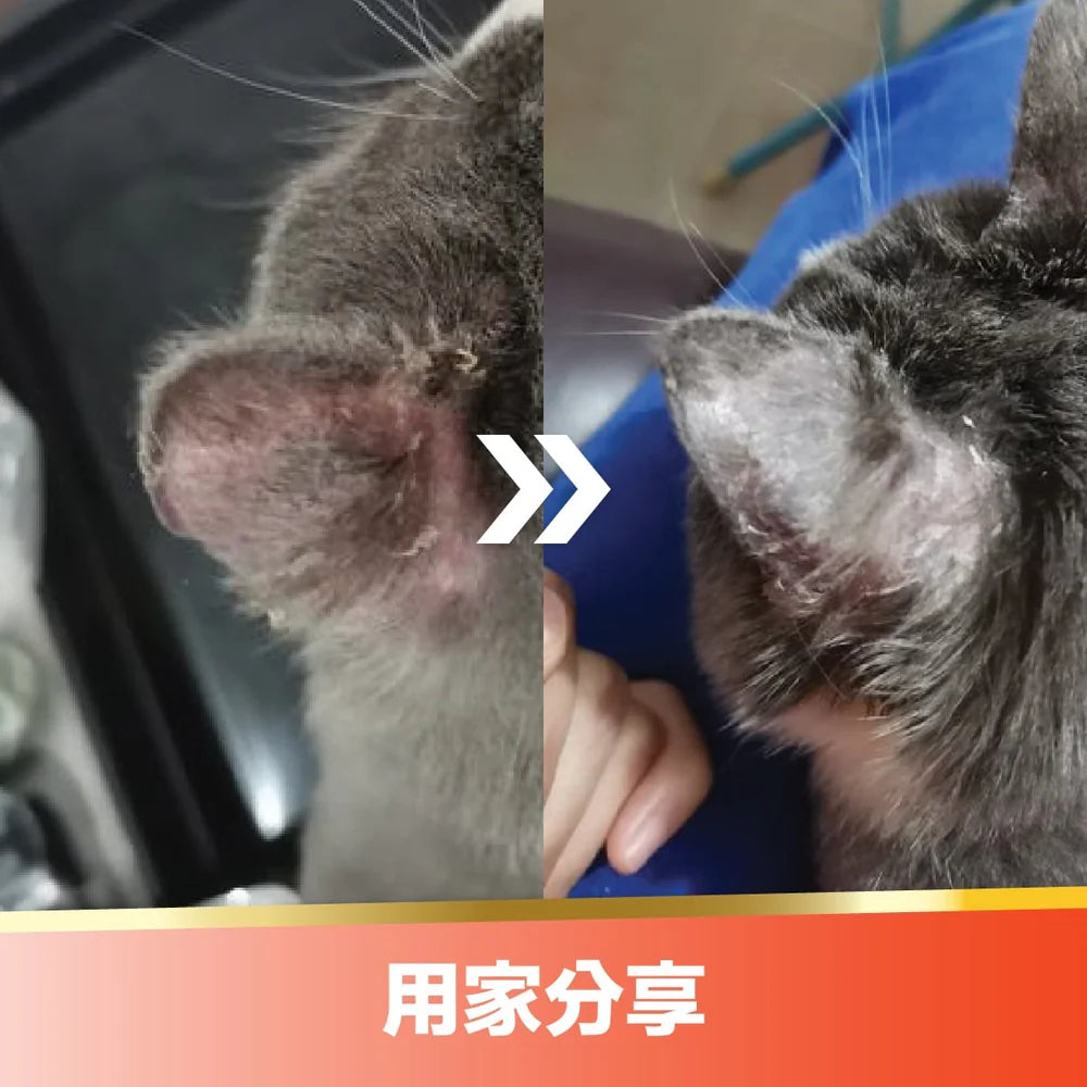 BioRescue® 古樹寧 - 皮膚修護噴霧 ( 120ml )