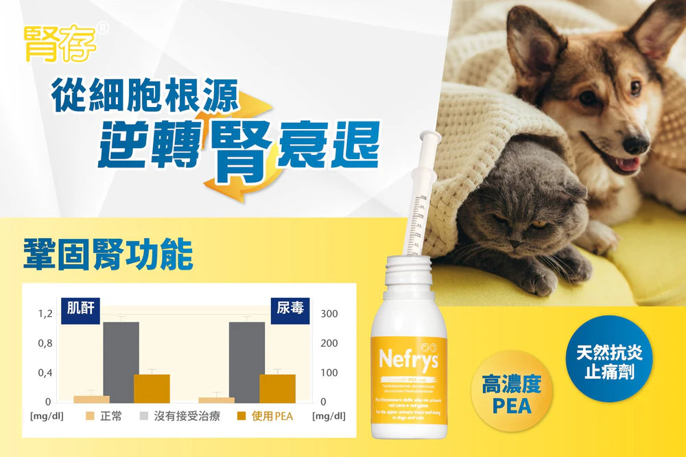 Nefrys 腎存 - 泌尿強腎配方 100ml