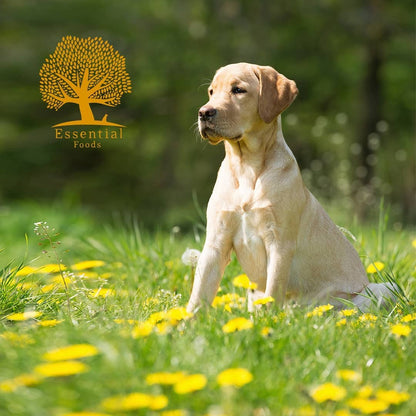 Essential - 起步 大型犬 ( 大粒 ) 10KG - 適合任何大型幼犬
