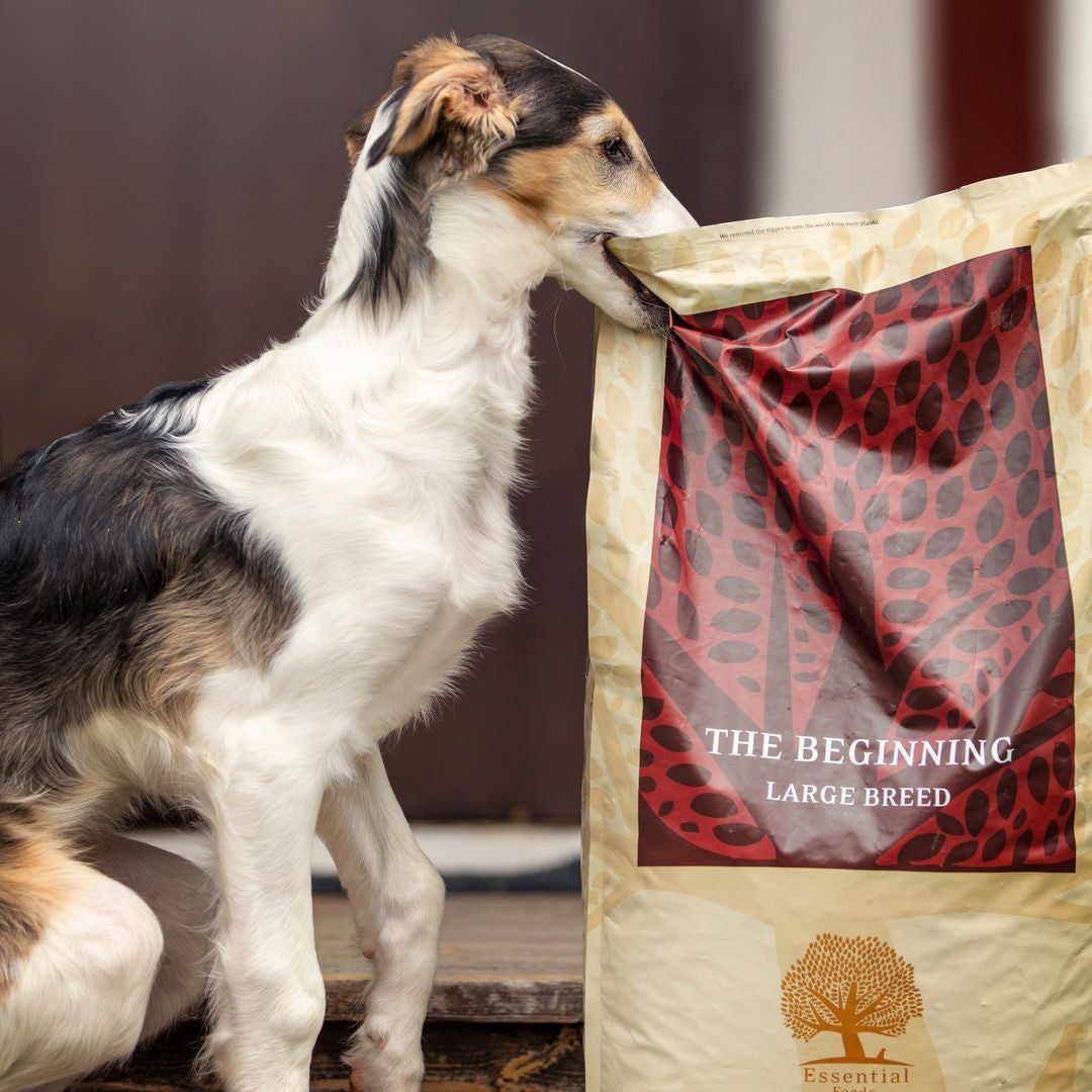 Essential - 起步 大型犬 ( 大粒 ) 10KG - 適合任何大型幼犬