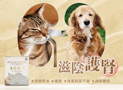 Petrum 寵樂氏 - 加拿大野生海參丸 ( 30粒 )