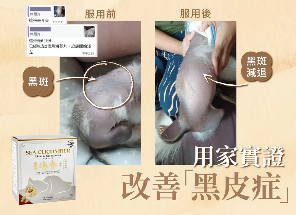 Petrum 寵樂氏 - 加拿大野生海參丸 ( 30粒 )