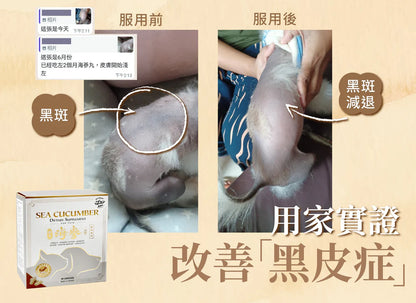 Petrum 寵樂氏 - 加拿大野生海參丸 ( 30粒 )