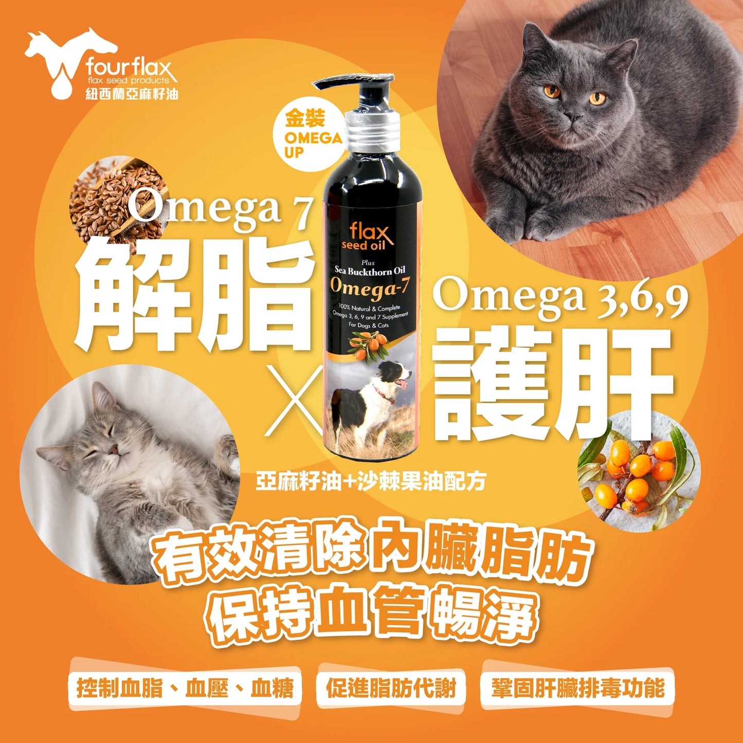 紐西蘭 Fourflax® - Omega UP 亞麻籽油＋沙棘植物果油 (貓狗適用) 500ml