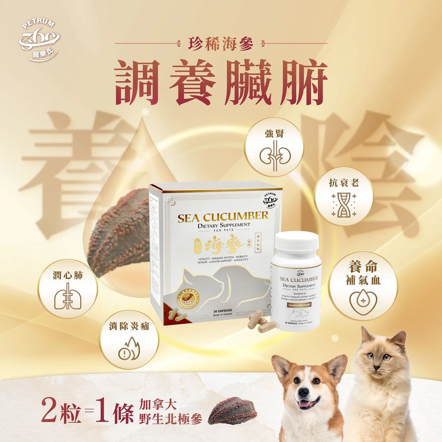 Petrum 寵樂氏 - 加拿大野生海參丸 ( 30粒 )