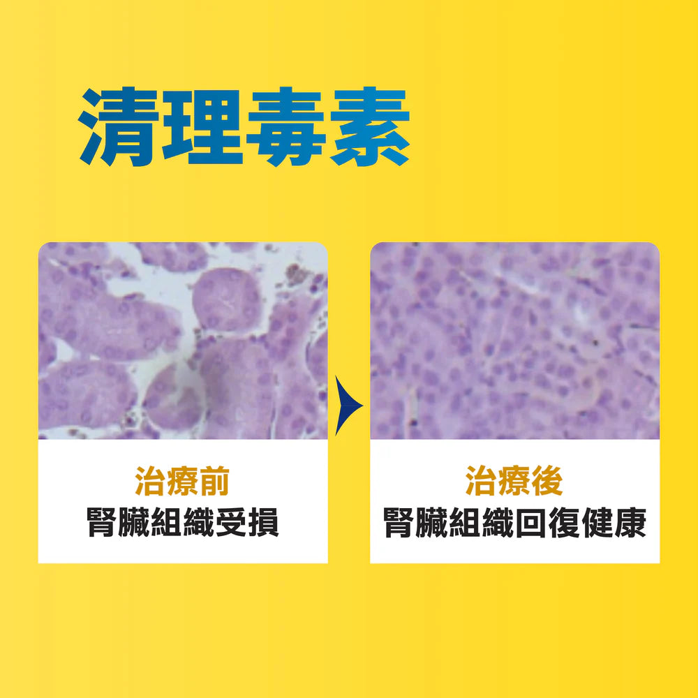 Nefrys 腎存 - 泌尿強腎配方 100ml