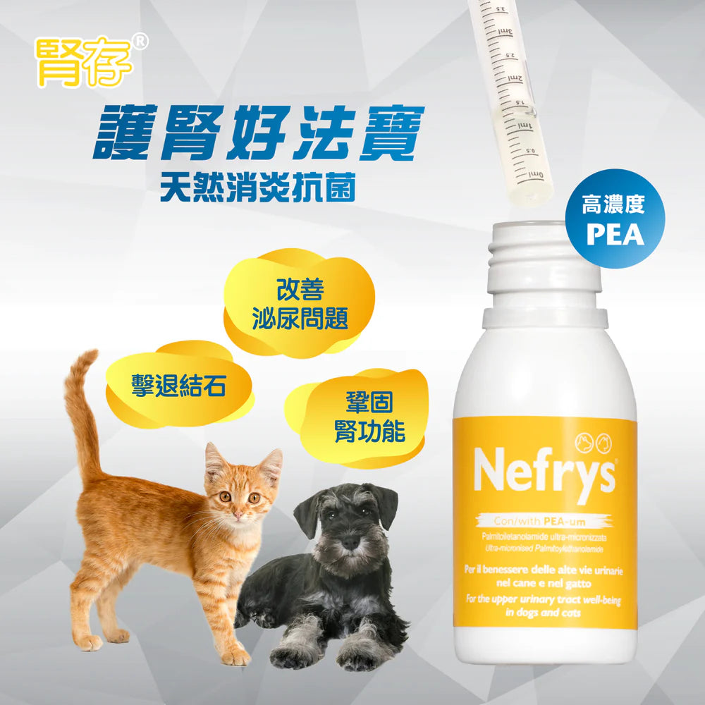 Nefrys 腎存 - 泌尿強腎配方 100ml