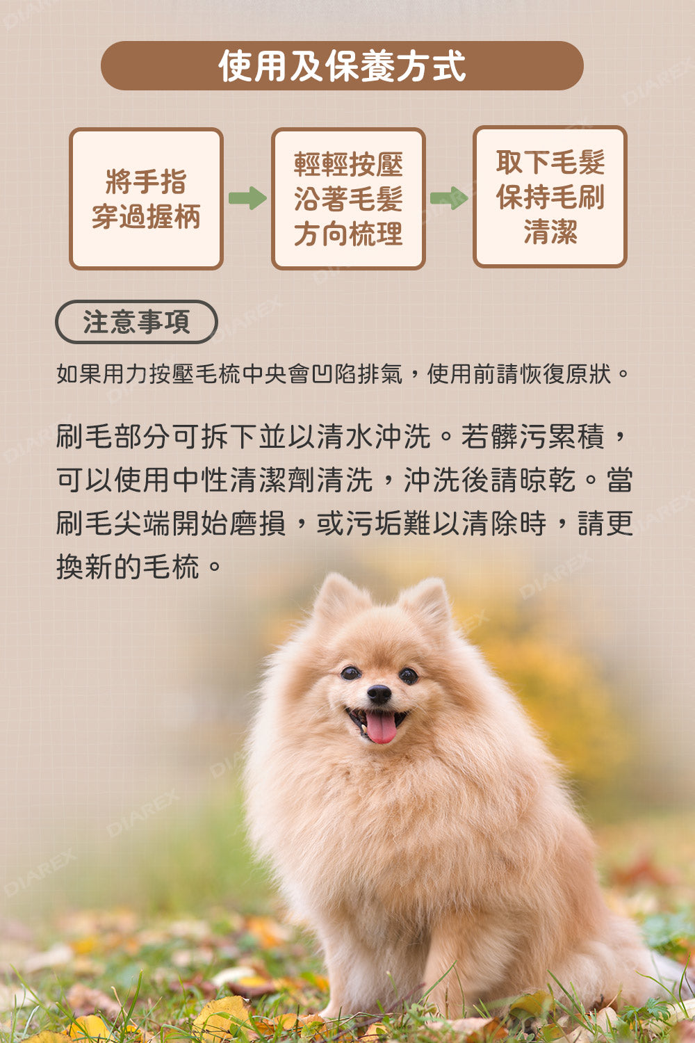 日本獅王 LION PET - 綺麗系列 犬用按摩刷