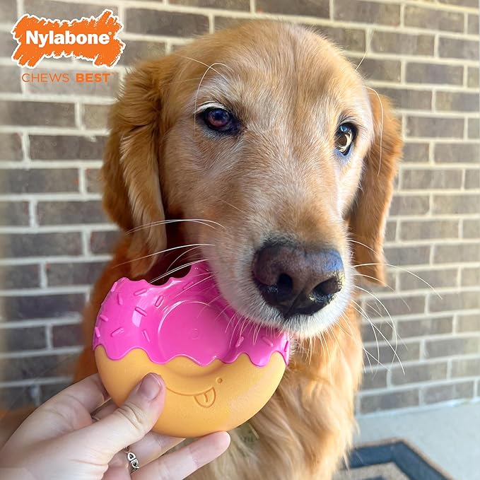 Nylabone - 甜甜圈咬咬膠