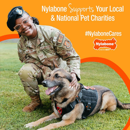Nylabone - 心狀大型犬咬咬膠
