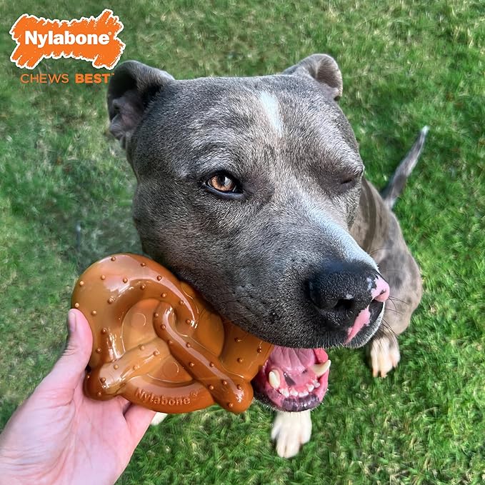 Nylabone - 心狀大型犬咬咬膠