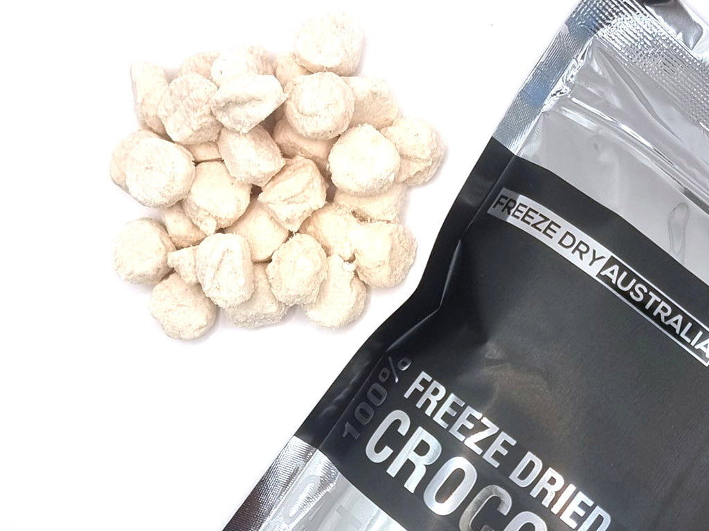 Freeze Dry - 凍乾 鱷魚肉塊 70G