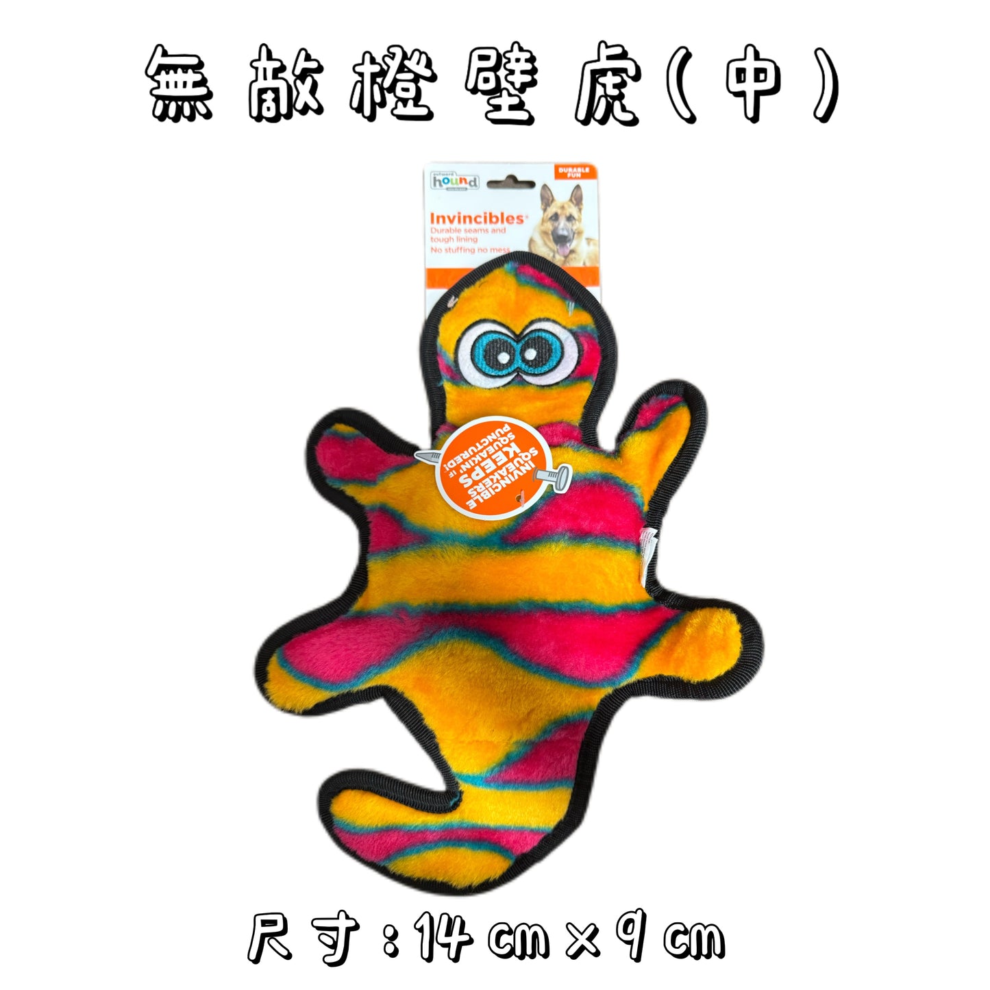 Outward Hound - 無敵橙壁虎（中）