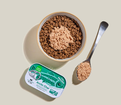 Open Farm - 滋咪糧伴北極紅點鮭慕斯 貓用糧伴罐頭 3.17oz