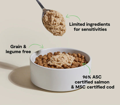 Open Farm - 滋咪糧伴北極紅點鮭(Arctic Char)慕斯 狗用糧伴罐頭 4.59oz 