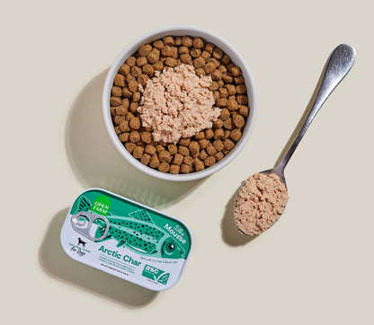 Open Farm - 滋咪糧伴北極紅點鮭(Arctic Char)慕斯 狗用糧伴罐頭 4.59oz 