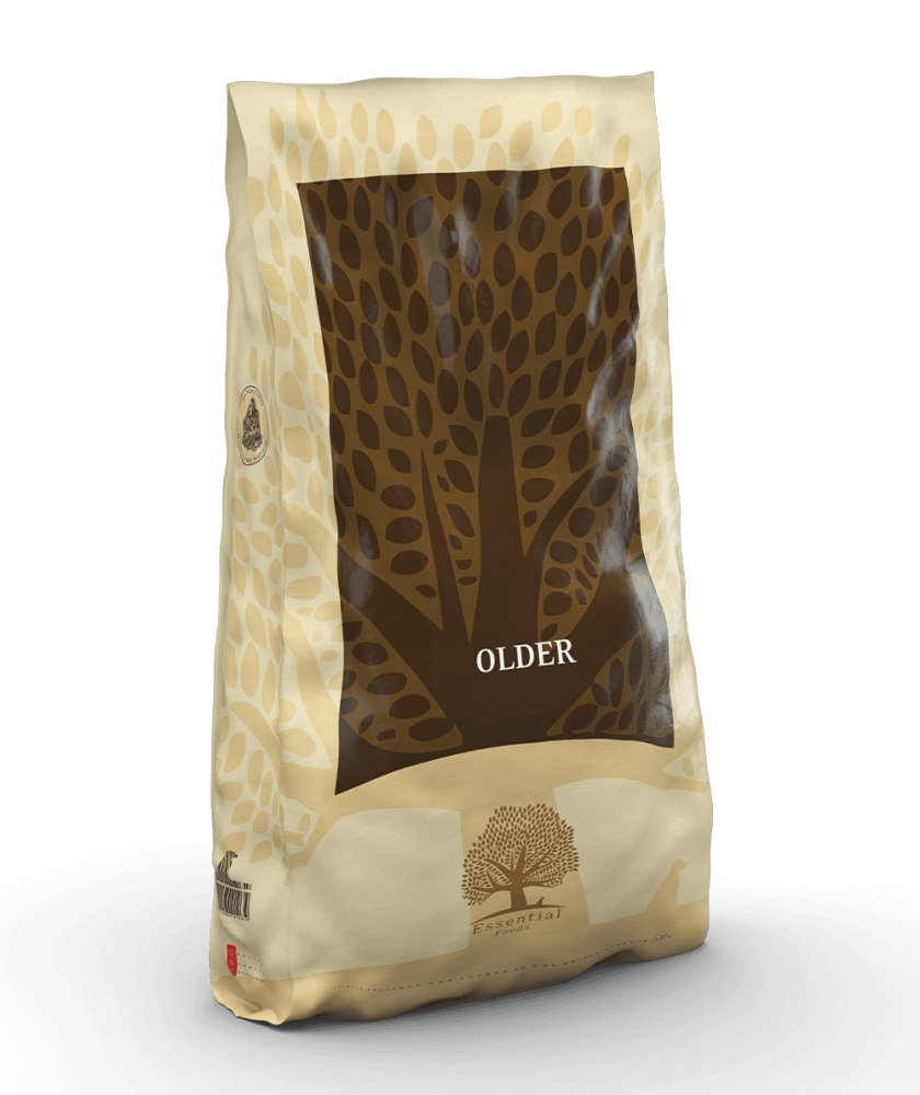 Essential - 長青 (大粒) 10 KG - 適合年長犬的美食