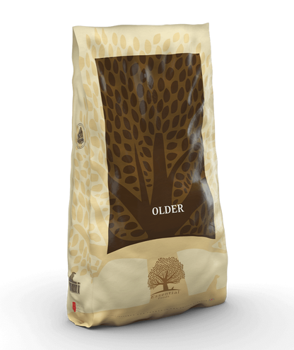 Essential - 長青 (大粒) 10 KG - 適合年長犬的美食