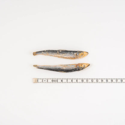 Freeze Dry - 沙甸魚 80G