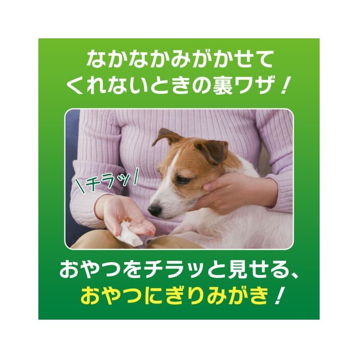 日本獅王  LION PET - PETKISS 手指套潔齒紗布 (蘋果香味 30片  100g )