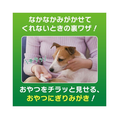 日本獅王  LION PET - PETKISS 手指套潔齒紗布 (蘋果香味 30片  100g )