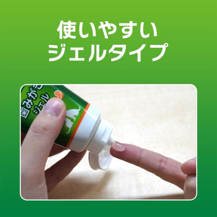 日本獅王  LION PET - PETKISS 寵物牙膏 ( 蘋果味 40g )