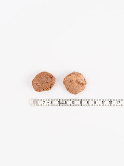 Freeze Dry - 凍乾 鴯鶓肉 100G