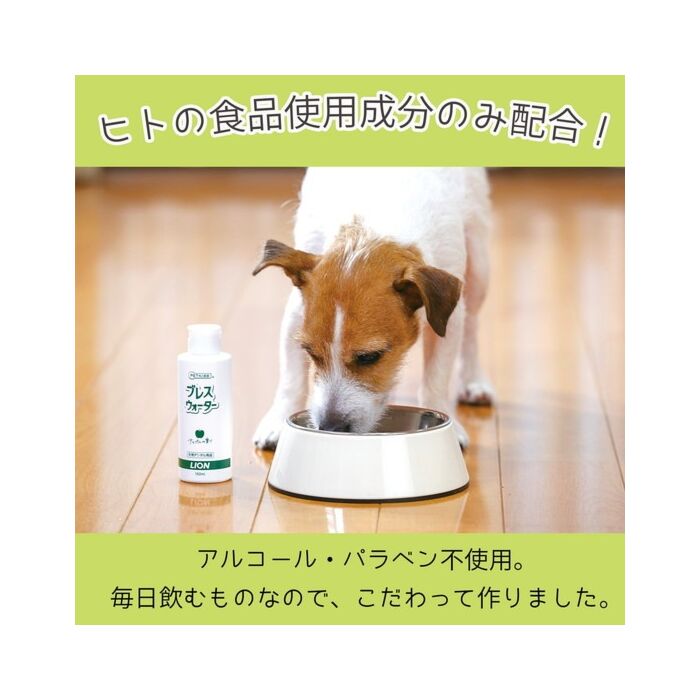 日本獅王  LION PET - PETKISS 犬用漱口水 ( 蘋果味 150ml )