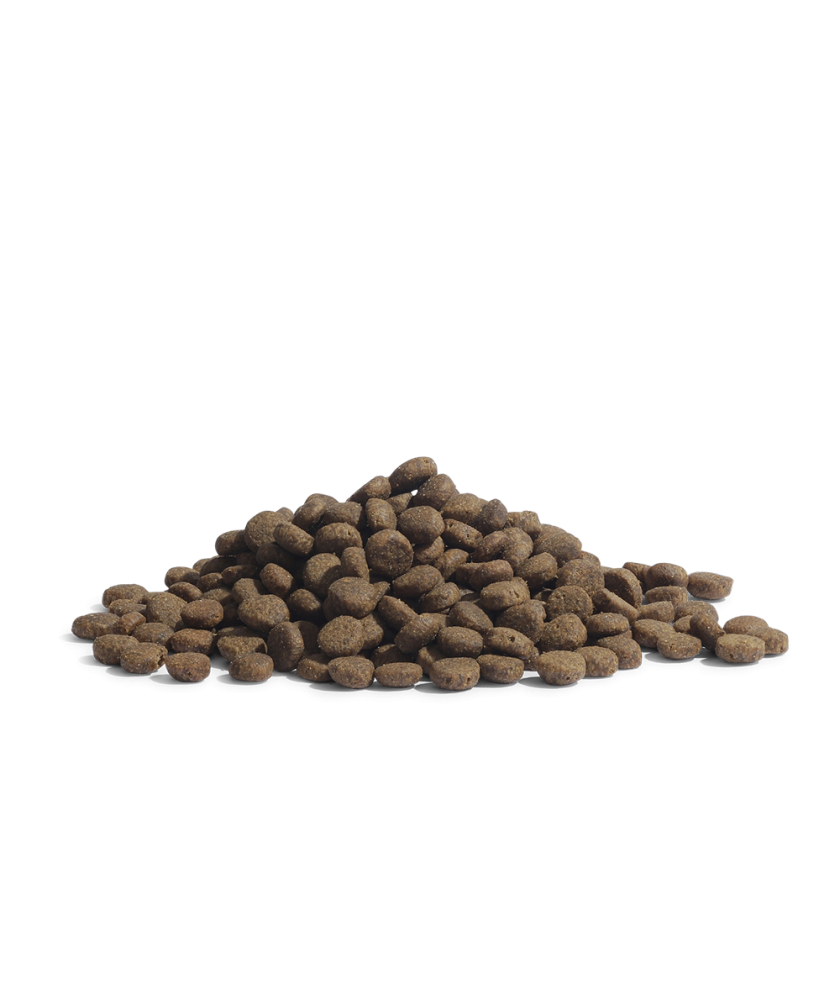 Essenital - 粉紅豹豹 1.5KG / 3 KG - 適合絕育/減肥和年長( 室內 / 不活動 )的貓貓（7 歲以上）